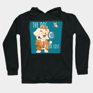 The dog maybe lost Hoodie